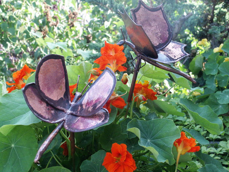 Schmetterlinge