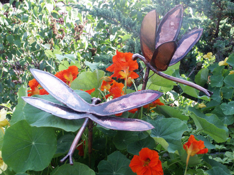 Schmetterlinge
